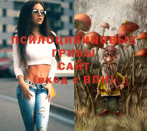 сатива Медногорск